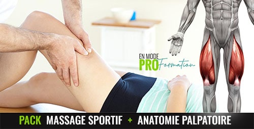 Formation massage sportif + anatomie palpatoire