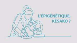 Lire la suite à propos de l’article L’épigénétique, késako?