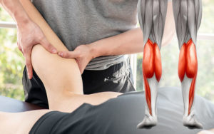 Massage du sportif & Anatomie palpatoire