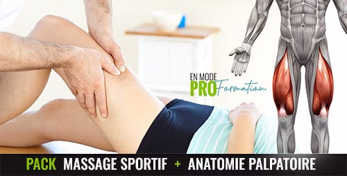 Formation massage sportif + anatomie palpatoire