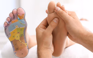 La Réflexologie plantaire