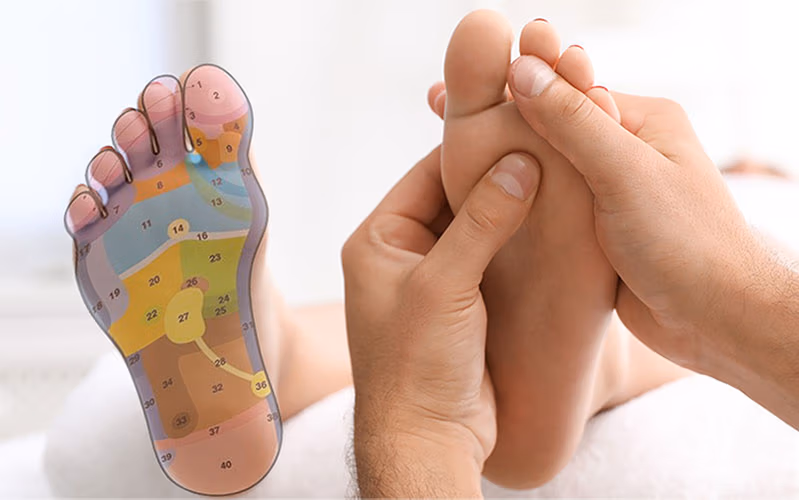 Formation reflexologie plantaire en mode pro