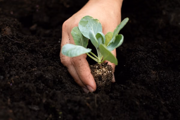 La carte des regards - la permaculture, les ressources qui durent - En mode pro formations